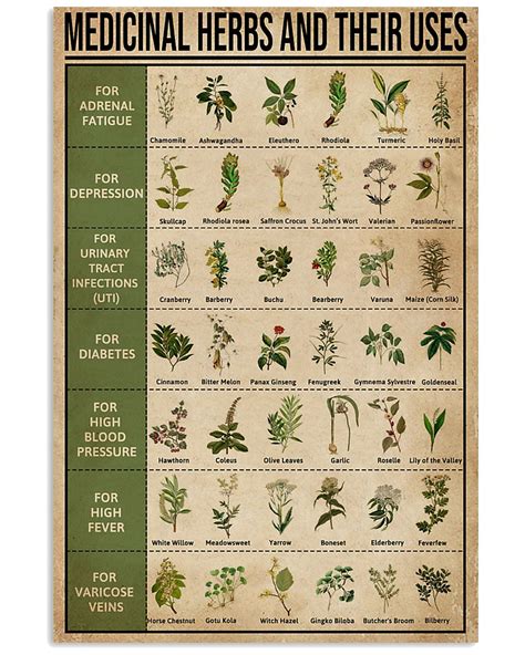 The Mysterious Language of Plants: Lessons from the Occult Herbarium